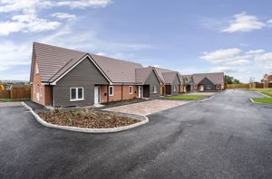 Photo 25- click for photo gallery